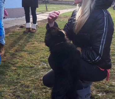 14.1.2020 - štěňátkový Dvoreček