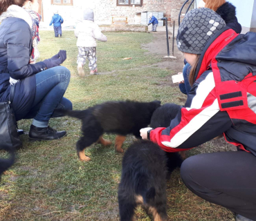 14.1.2020 - štěňátkový Dvoreček