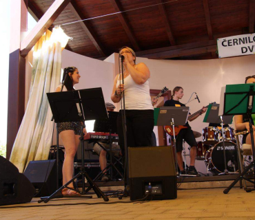 ČERNILOVSKÝ DVŮR 2014 - foto Míra