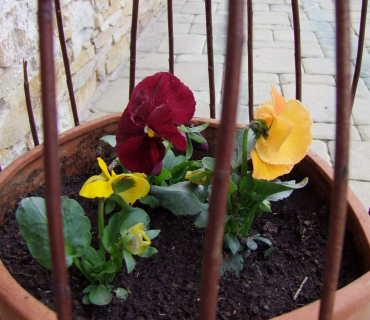 VELIKONOČNÍ JARMARK V ČERNILOVĚ 2014_foto Jana Ž