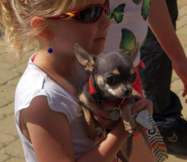 Černilovský dvůr 2013 od Míry