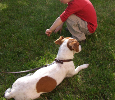 Černilovský dvůr 2013 od Jany Ž