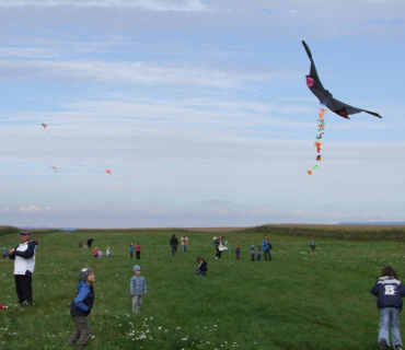 ČERNILOVSKÁ DRAKIÁDA 2012 foto Jana Ž