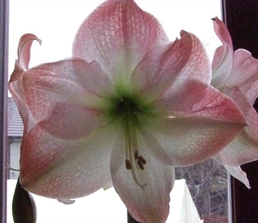 VELIKONOČNÍ JARMARK KSD 30.3. 2012 - foto Jana Žárská