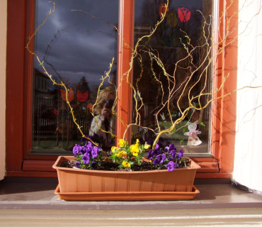 VELIKONOČNÍ JARMARK KSD 30.3. 2012 - foto Jana Žárská