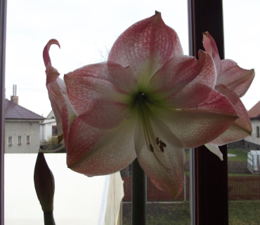 30.3.2012 VELIKONOČNÍ JARMARK