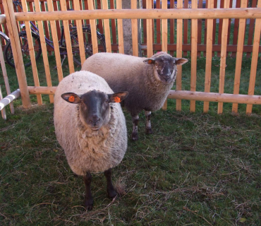 Adventni trhy Cernilov 2011 - foto Jana Z