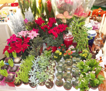 25.11.2011 adventní trhy