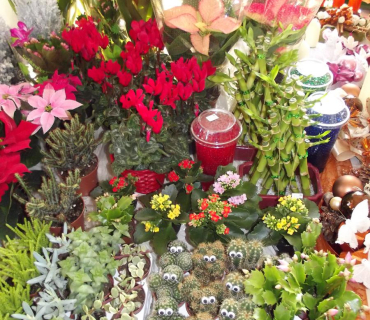 25.11.2011 adventní trhy