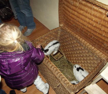 25.11.2011 adventní trhy