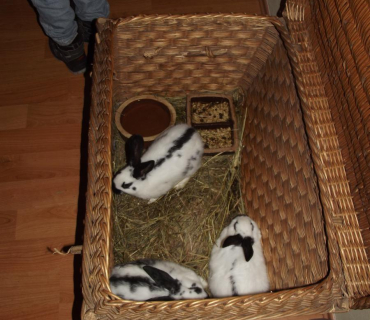 25.11.2011 adventní trhy