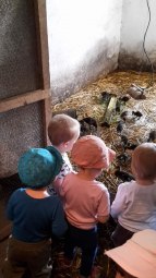 Dvoreček 16.5.2017 - Návštěva k myslivcům a na ovečky