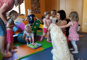 Dvoreček 29.5. - hafani