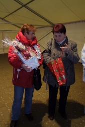 Charitativní dražba vánočních stromečků - KSD Černilov 16.12.2012