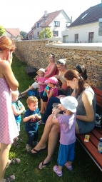 Dvoreček 7.7.2015 Prázdninový