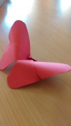 Dvoreček 10.5.2016 Motýlkování