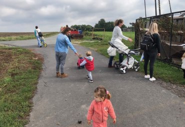 10.9.2019 - šipkovaná