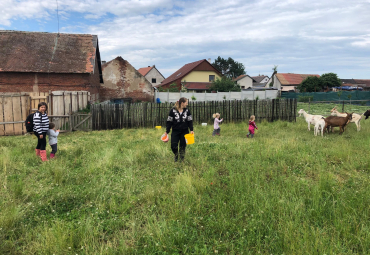 22.6.2020 - návštěva u koziček