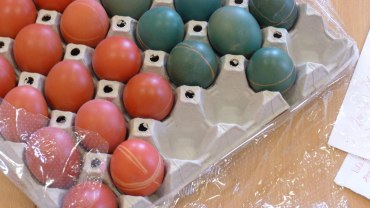 Dvoreček 27.3. barvení vajíček