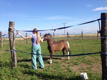 Dvoreček 19.7. Výlet do Borovice